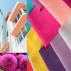 Colour Trends by PANTONE