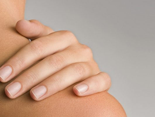 REGENERATOR Fitted sheet REGENERATOR Fitted sheet