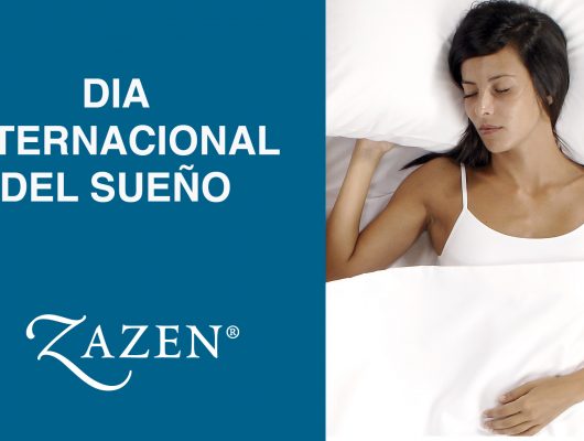 Noticias / Videos