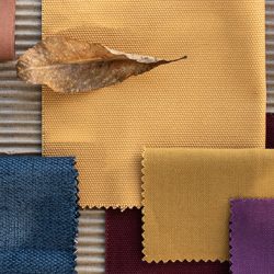 Sensibilité émotionnelle, Couleurs tendance