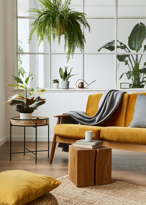 Interior design of scandinavian open space with yellow velvet sofa, plants, furniture, book, wooden cube and personal accessories in stylish home staging. Template.; Shutterstock ID 1820170385; purchase_order: -; job: -; client: -; other: -